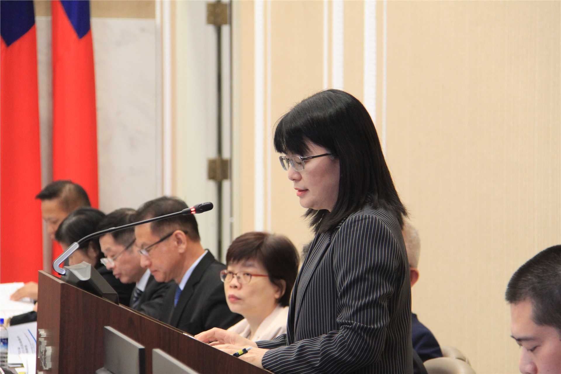 林純玫執行長實施116-117年動員準備綱領審議案報告